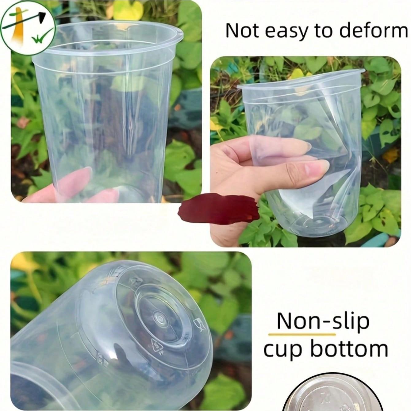 Transparent Hydroponic Seedling Pot, High Transparency Design, Aeration Feature, Ideal for Plant Propagation, Office Home Garden Decor