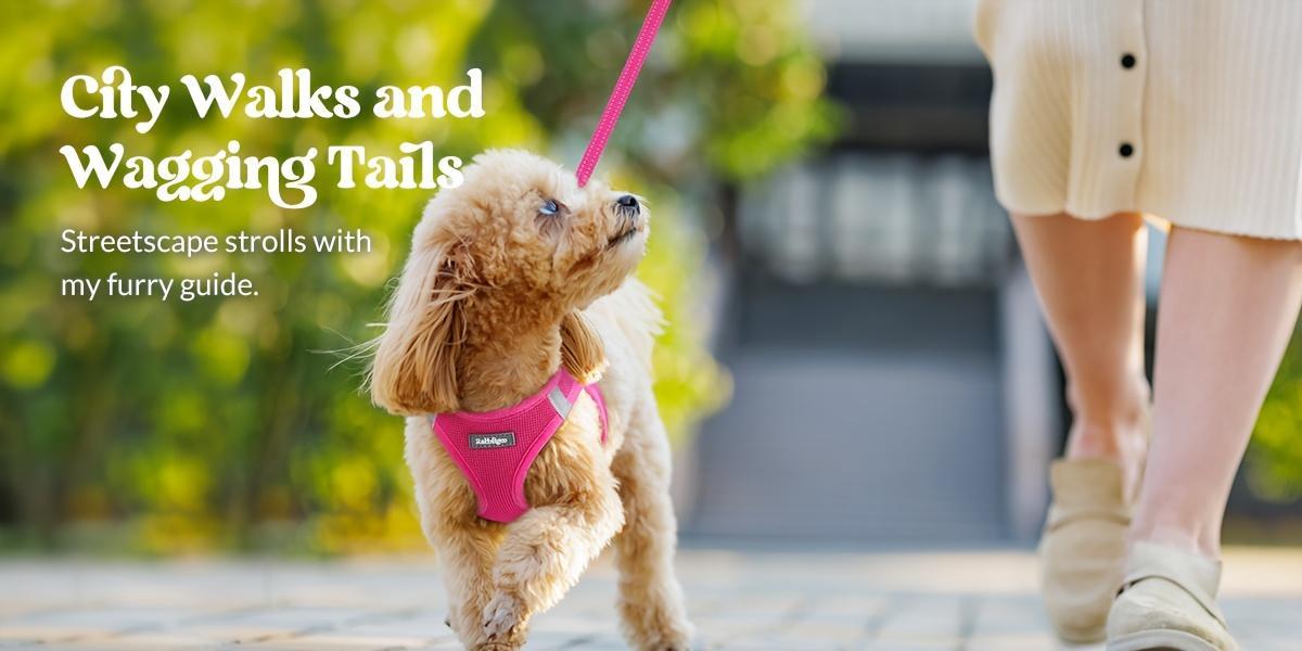 Durable Reflective Harness & Leash Combo for Small Dogs & Puppies, All-Weather Breathable Mesh Vest, Soft Lightweight Step-In Design, Battery-Free, Hand Wash Only, Reflects at Night, Collars & Harnesses & Leads, Leash Included