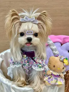 background preload poster image 