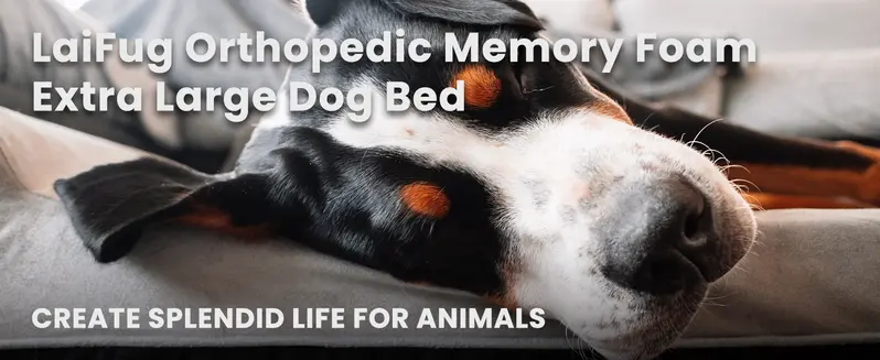 Product Introduction of Laifug Orthopedic Memory Foam Extra Large Dog Bed with double Pillow (50"x36"x10") Durable Water Proof Liner & Removable Washable Cover & Smart Design 0