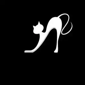 background preload poster image 