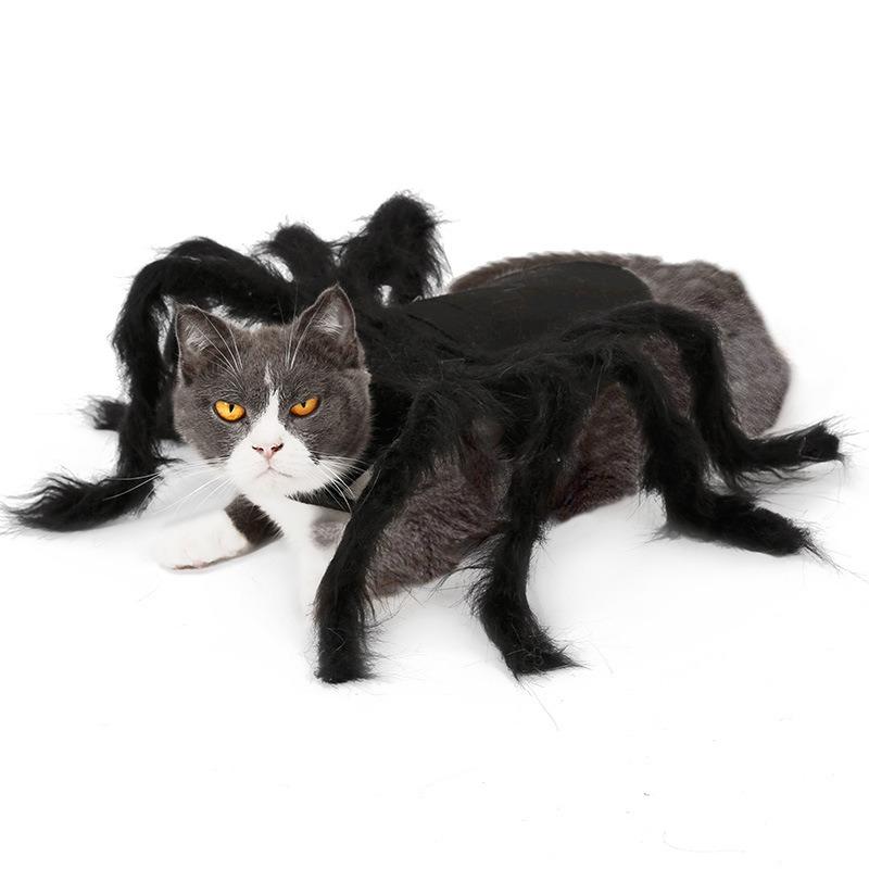 Cat Halloween Costume Cat Bat Wings - Pet Bat Costume Dress Costume Outfit Wing for Small Dogs Cats 2025 Newest Pet Halloween