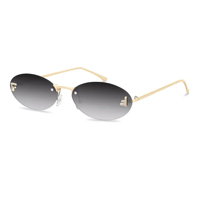 Retro Oval Y2K Sunglasses for Women Men, 2025 Trendy Chic 