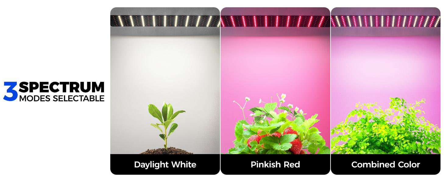 Barrina Mini Greenhouse with LED Grow Lights, 40W High Output Plant Light Small Indoor Greenhouse with Timer, 23x23x23IN