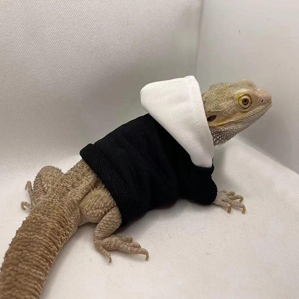 [Walking Lizard Hoodie Outfit] Lizard Clothes Hoodie T-Shirt Crawl Pet Out to Change Into a Small Pet Clothing Supplies for Walking Lizards