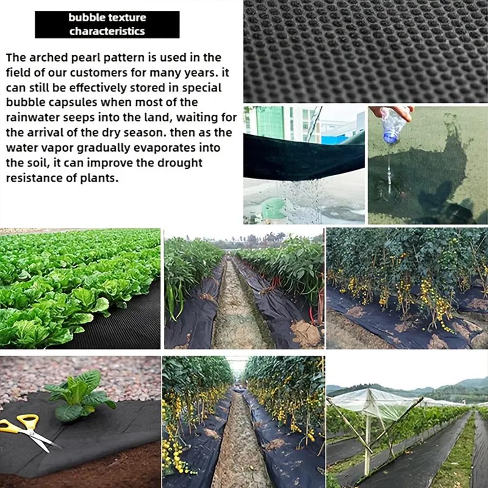 10pcs Durable and breathable polyester grass proof cloth, suitable for indoor and outdoor grass proof mats in gardens, lawns, flower beds, and walkways. Made of black mesh material, specifically designed for root protection and garden maintenance