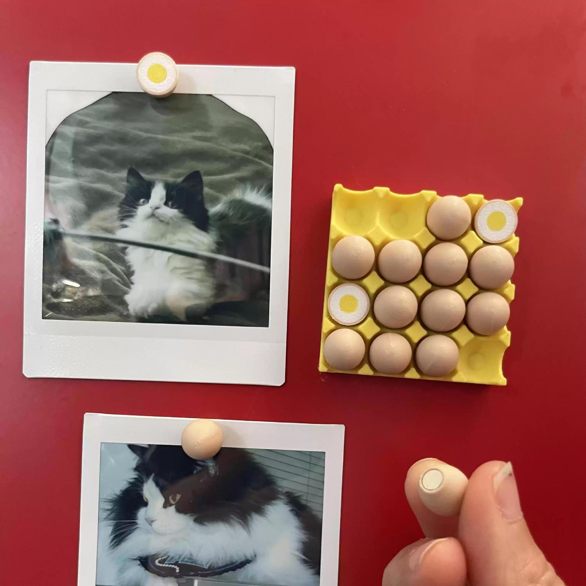 Egg-Shaped Fridge Magnet Photo Holder, Self-Adhesive Magnetic Memo Clip for Instant Photos, Notes & Reminder Cards, Strong Refrigerator Magnet for Kitchen, Office & Dorm, Cute Home Organization Accessory, Reusable Decorative Fridge Magnet