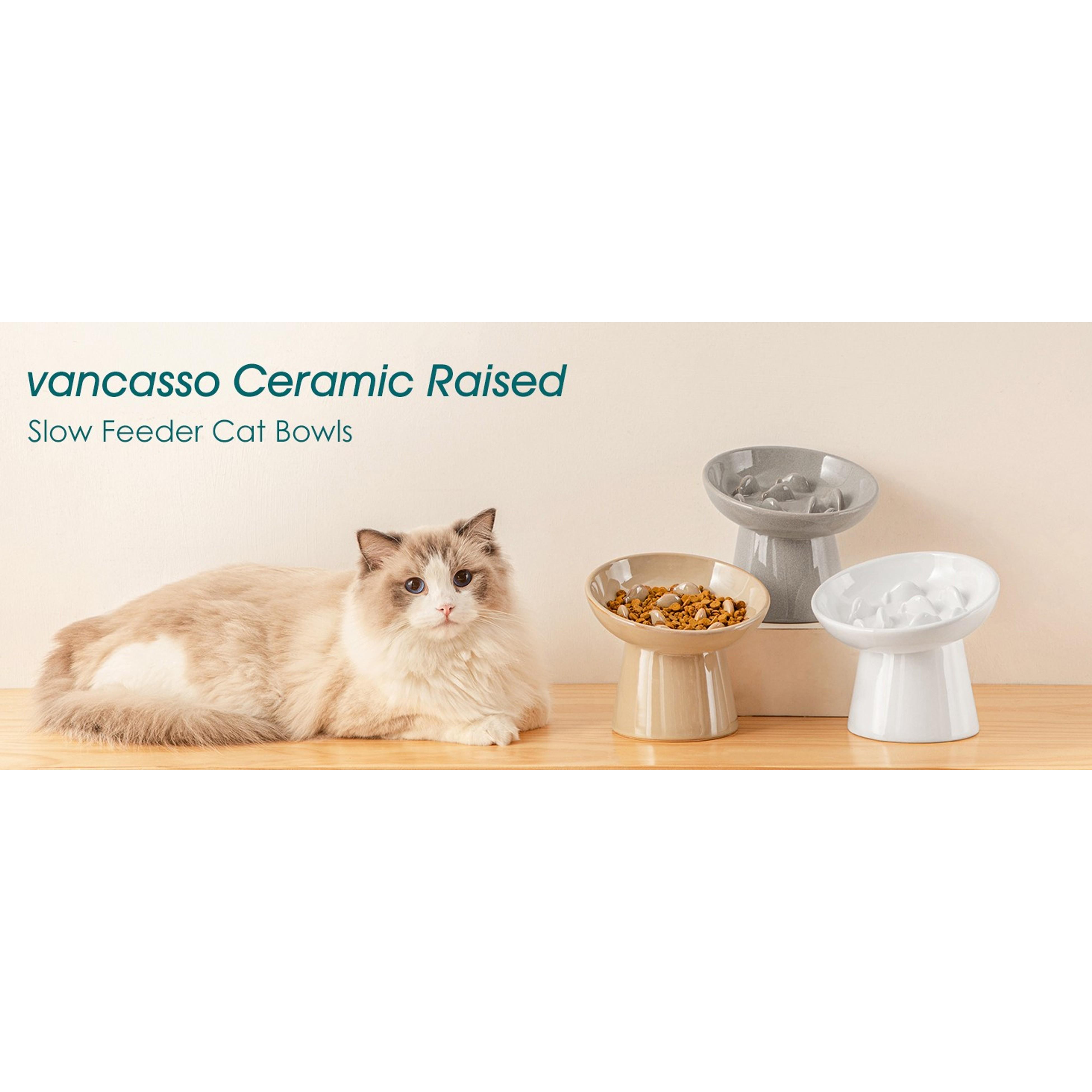 Elevated Ceramic Slow Feeder Cat Bowl, 6.25in Anti-Vomiting Bowl for Dry & Wet Cat Food, White, Elevated Bowl