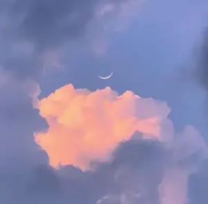 Radiance Decor shop logo