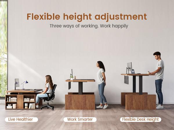 SEDETA 63" Executive Standing Desk with Storage, Executive Height Adjustable Desk with Power Outlets, Large Computer Office Desk with Privacy Panel for Home Office