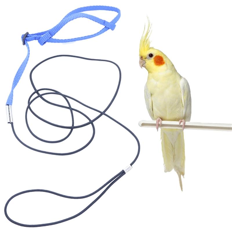Pet Bird Release Rope, Phoenix Leash, Parrot Outdoor Training Harness, Bird Walking Backpack, Tiger Skin Kingfisher Peony Bird Small Animal Halter