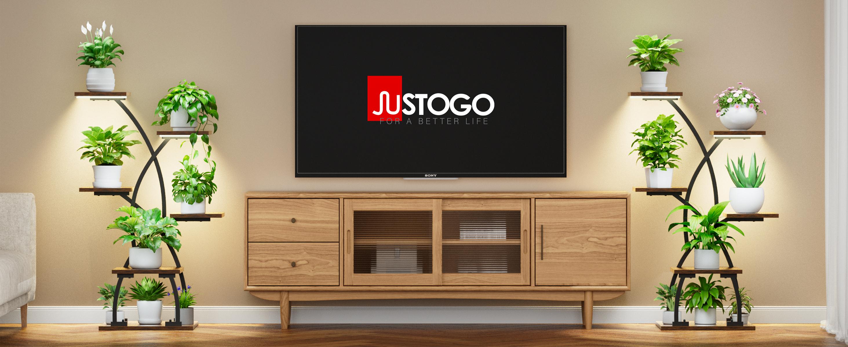 36" Tall Minimalist Standing Plant Rack with Grow Light - 6-Tier Corner Plant Stands for Indoor Plants Multiple, Metal Curved Flower Holder Display Rack for Patio, Balcony, Home Decor