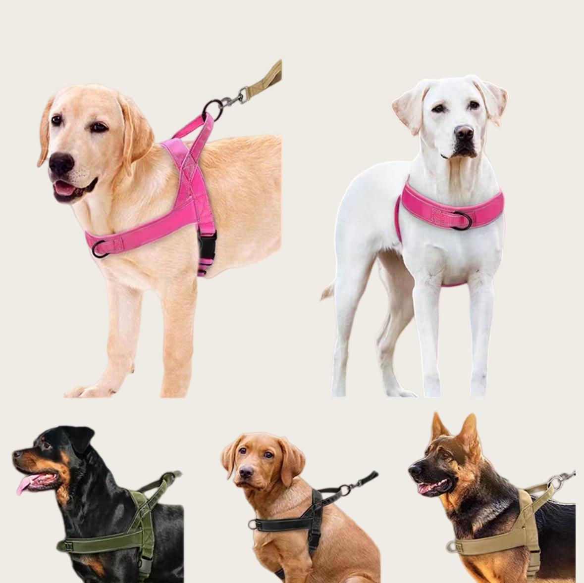 No Pull Dog Harness for All Dogs, Easy Fit Adjustable Chafe Resistant Pet Harness, Safe Secure Comfortable Lightweight Dog Vest Harness for Walking Training Outdoor Dog Supplies