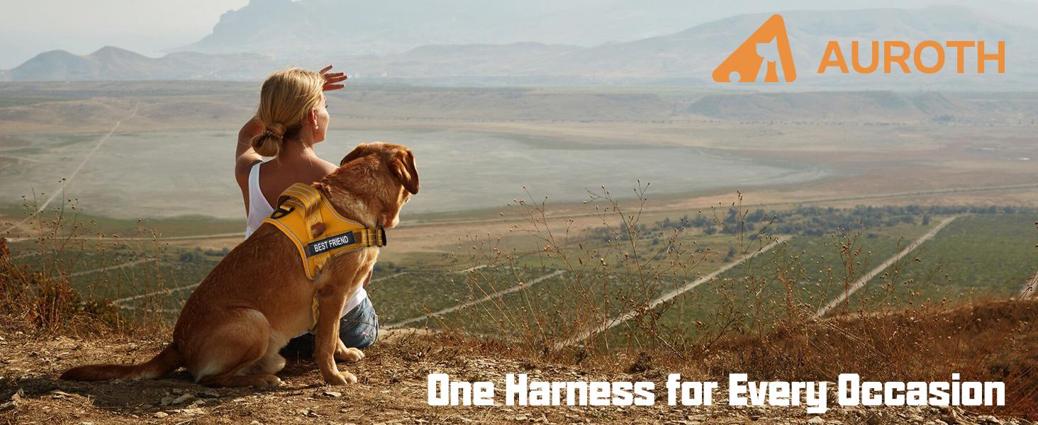 AUROTH No Pull Dog Harness Straps, Safety Harnesses for Dogs – Soft Padded Service Vest, Reflective, Adjustable, Easy On & Off – Ideal for Walking & Training, Fits Small, Medium & Large Dogs
