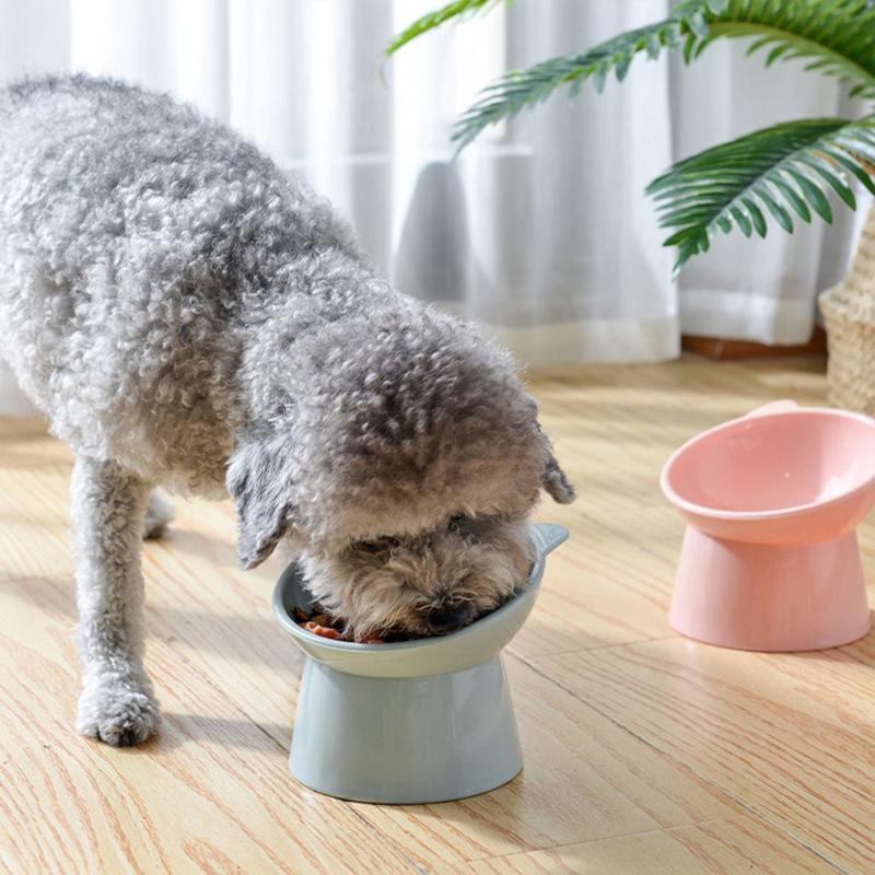 Elevated Tilted Ceramic Cat Bowl, Non-Slip Pet Bowl with Detachable Stand, Neck-Protecting Slanted Design, Anti-Choke & Anti-Spill, Food-Grade Safe & Durable, Ideal for Cats, Dogs, Kittens, Puppies, Rabbits, Indoor, Outdoor & Travel Use
