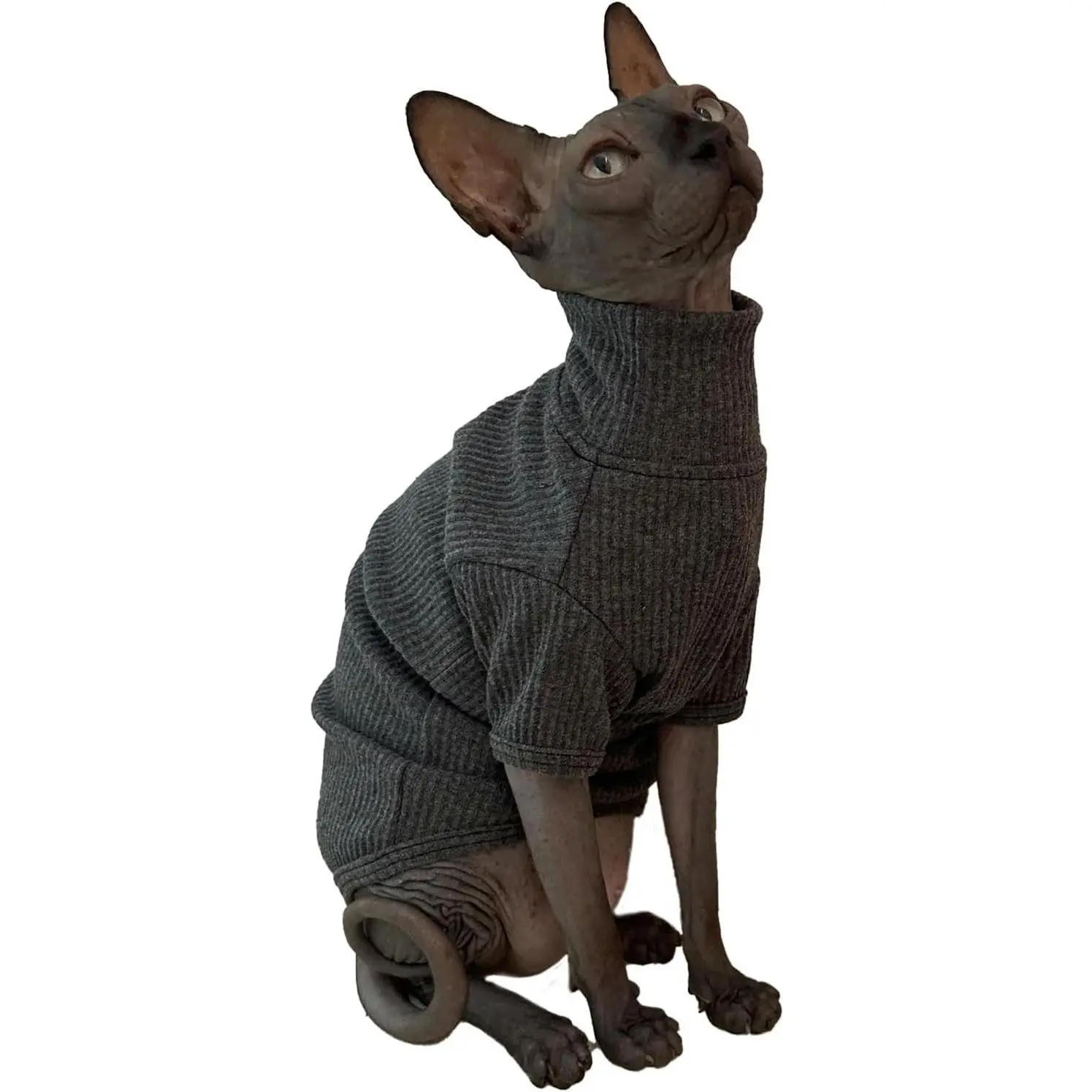 Soft Cotton Turtleneck Cat Sweater Pullover T-Shirt with Sleeves Cat Pajamas Jumpsuit for Sphynx Cornish Rex Devon Rex Peterbald, Size Small, Deep Grey