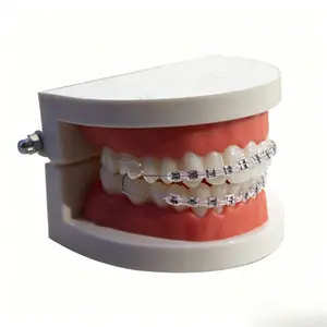 New Dental Orthodontic Braces Decorative Hooks, Oral Care Accessories, Enhance Your Smile, Perfect for Dentists & Patients