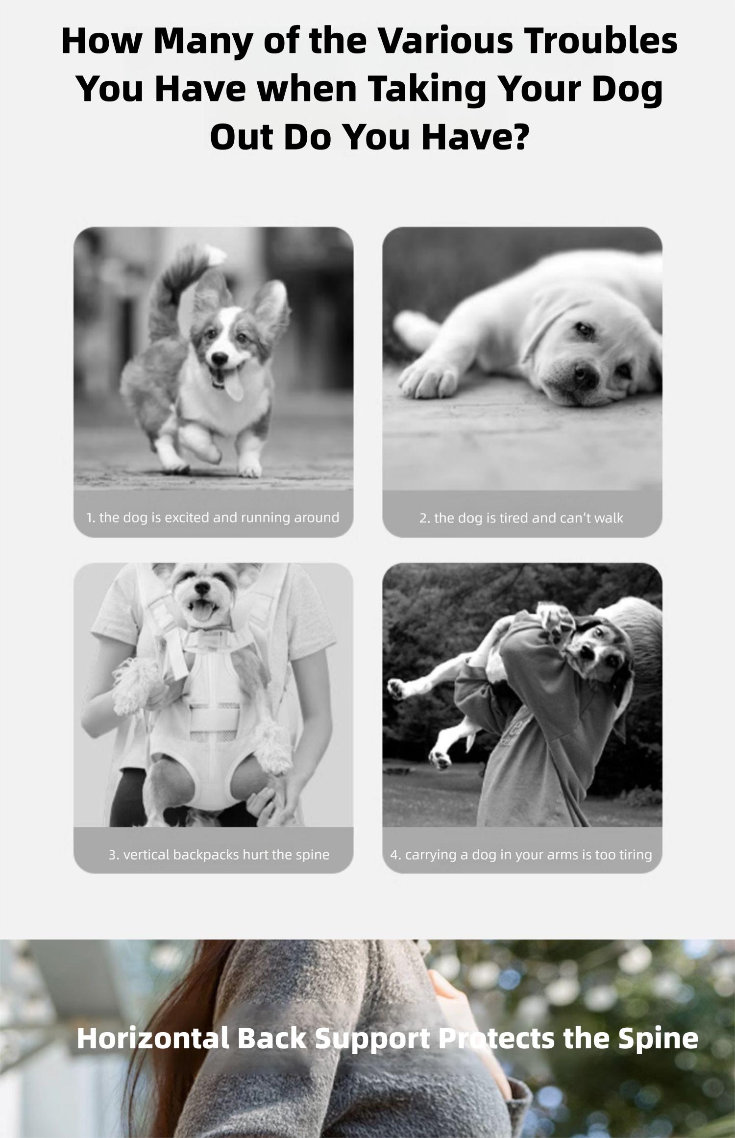 Portable Pet Carrier Backpack for Small Dogs & Cats - Versatile Crossbody, Handbag, and Shoulder Bag for Outings and Dog Walking