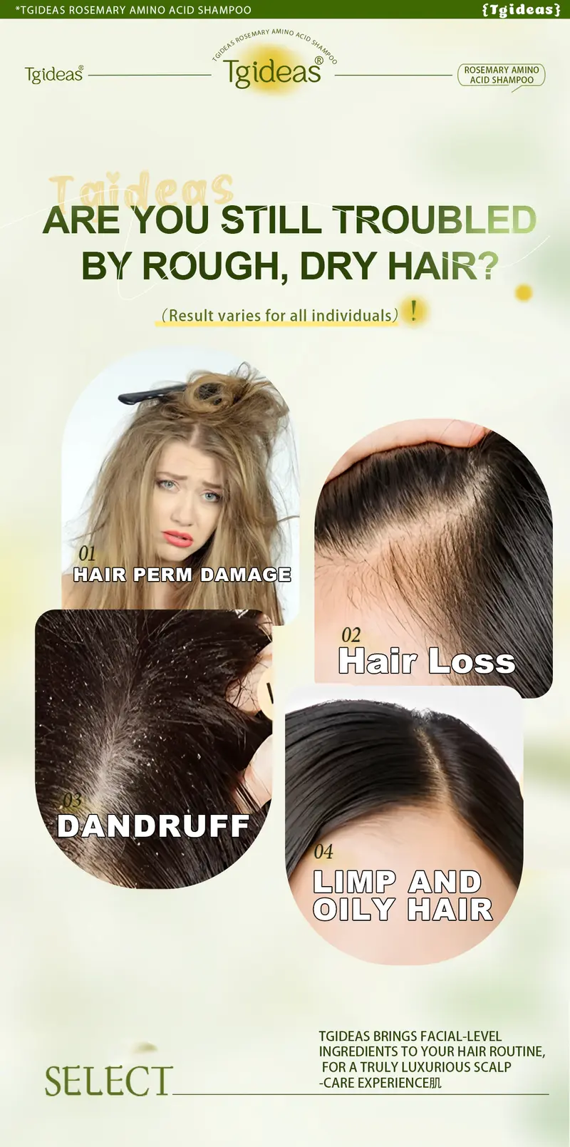 Product Introduction of 【 Buy 1-Get 1 Free!】Tgideas Anti-Hair Fall Hair Loss Treatment Shampoo Oil Control Anti Dandruff Haircare Rosemary Zinc PCA Help Hair Growth Amino Acid Hydrolyzed Protein Repair Reduce Hair Loss Scalp Cleanser Conditioner 250ML Gentle Smoother 17