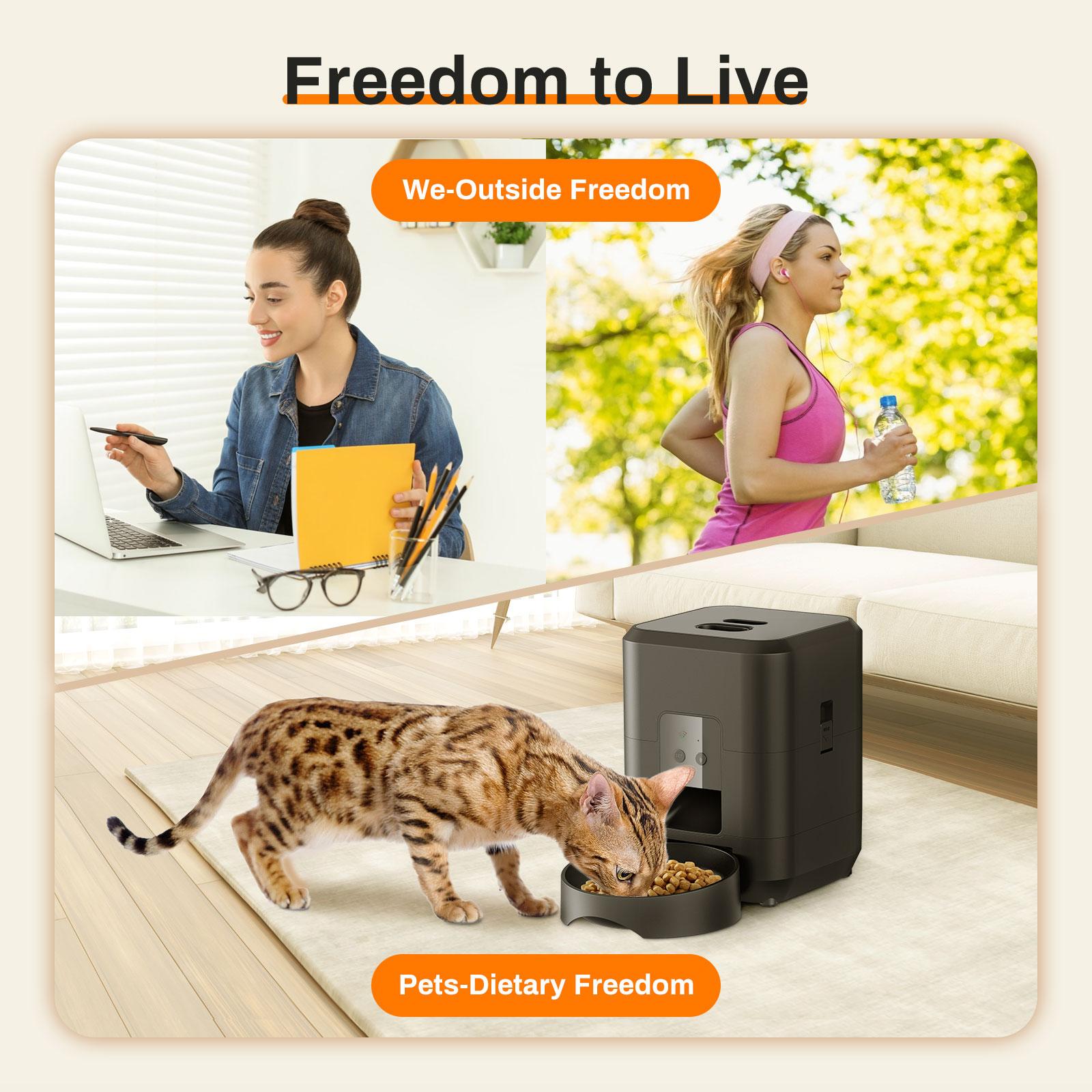 Smart Pet Feeder Machine, Graffiti APP Control Cat Automatic Feeder, Dry Food Dispenser, Suitable for Small Pets, Programmable Pet Feeder
