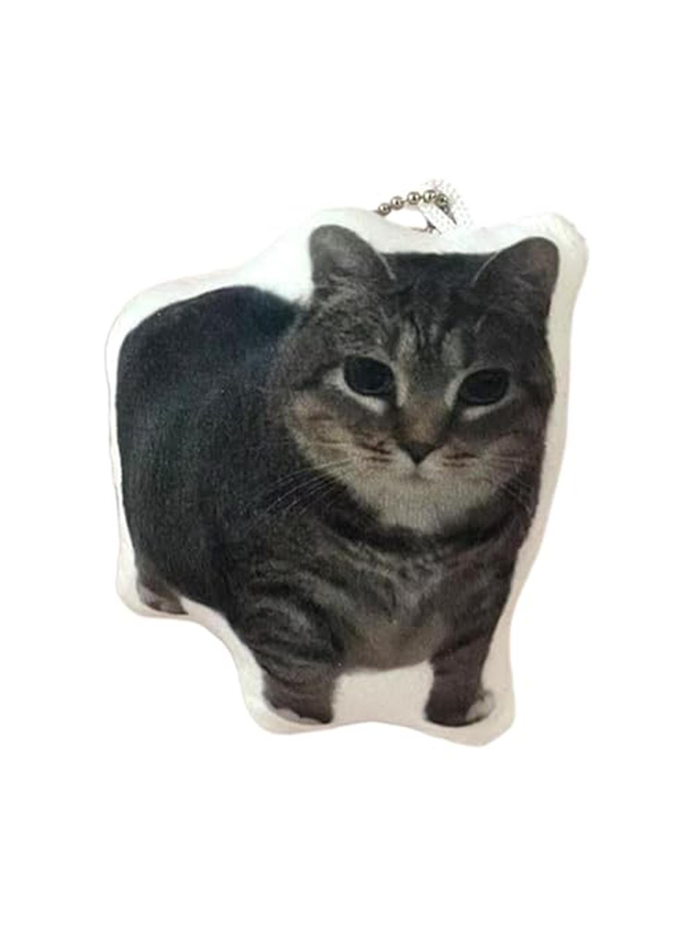 Oiiai Cat Plush Key Chain, Funny Rotating Cat Keychain with Voice, Cute Stuffed Cat Meme Pendant, Ideal for Kids and Adults