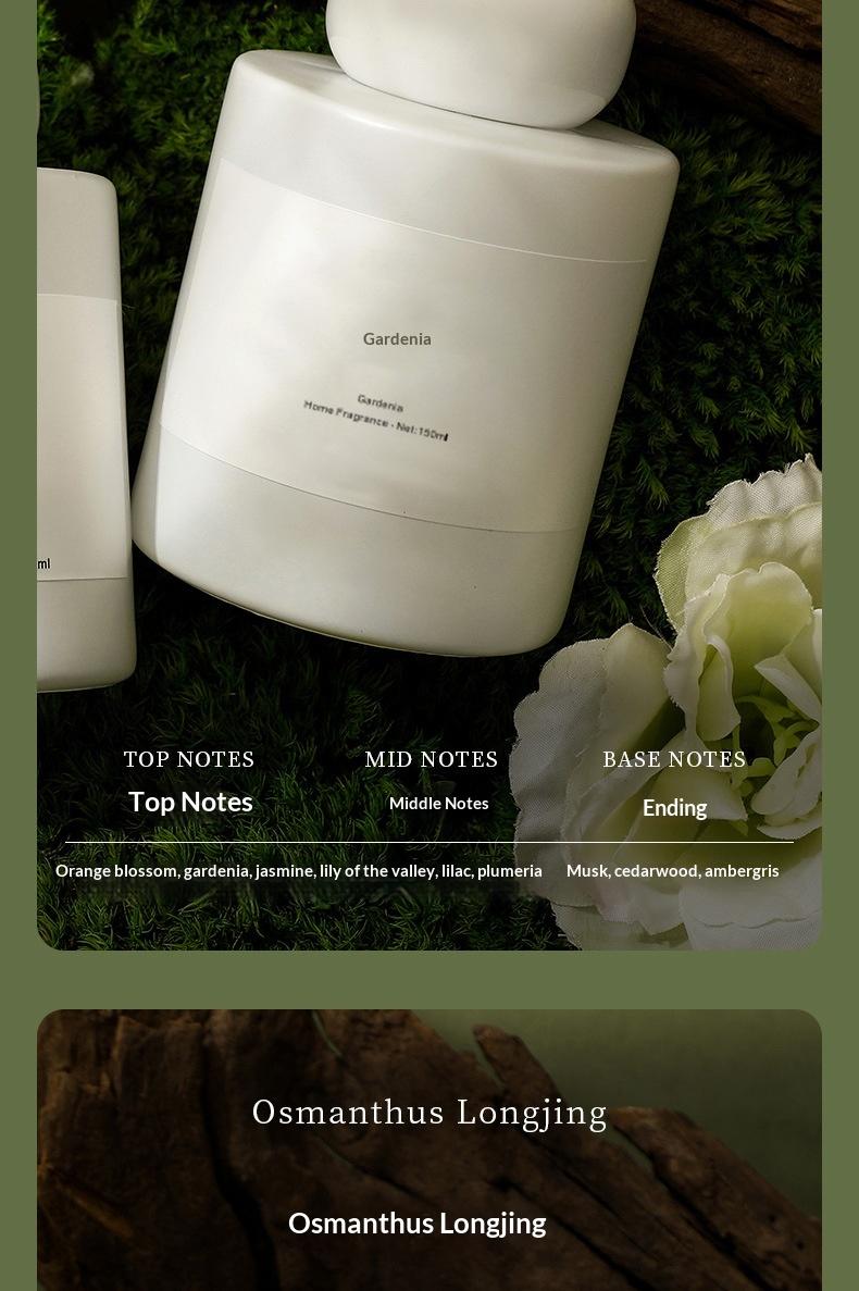 Tea Scented Incense Fire Free Rattan Essential Oil Tea Scented Indoor Perfume Home Bedroom Long Lasting Toilet Deodorization Incense