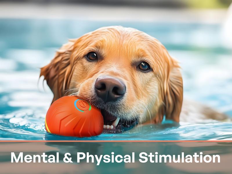 Automatic Interactive Dog Ball - Smart Electric Toy with Random Jumping & Rolling, USB Rechargeable Chew Toy for Small/Medium/Large Dogs - Puppy Entertainment Essential