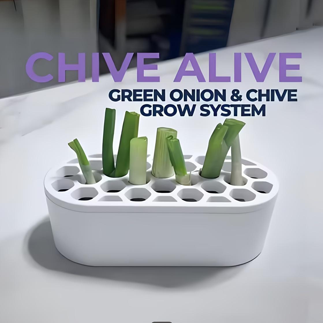 1 Set Green Onion Regeneration Kit - Hydroponic System Suitable for Balcony, Windowsill & Small Space, Quick Grow for Onions at Home, Compact Rapid Regeneration System for Urban Cultivation (No Skills Required)