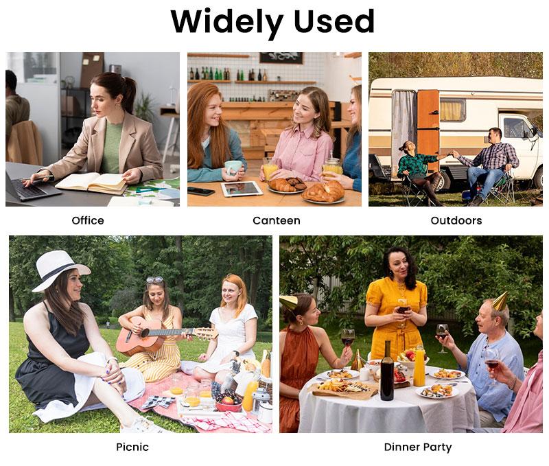 MEXS Lunch Bag Tote Bag Lunch Organizer Lunch Holder Insulated Lunch Cooler Bag 11L for Picnic Work for Women/Men