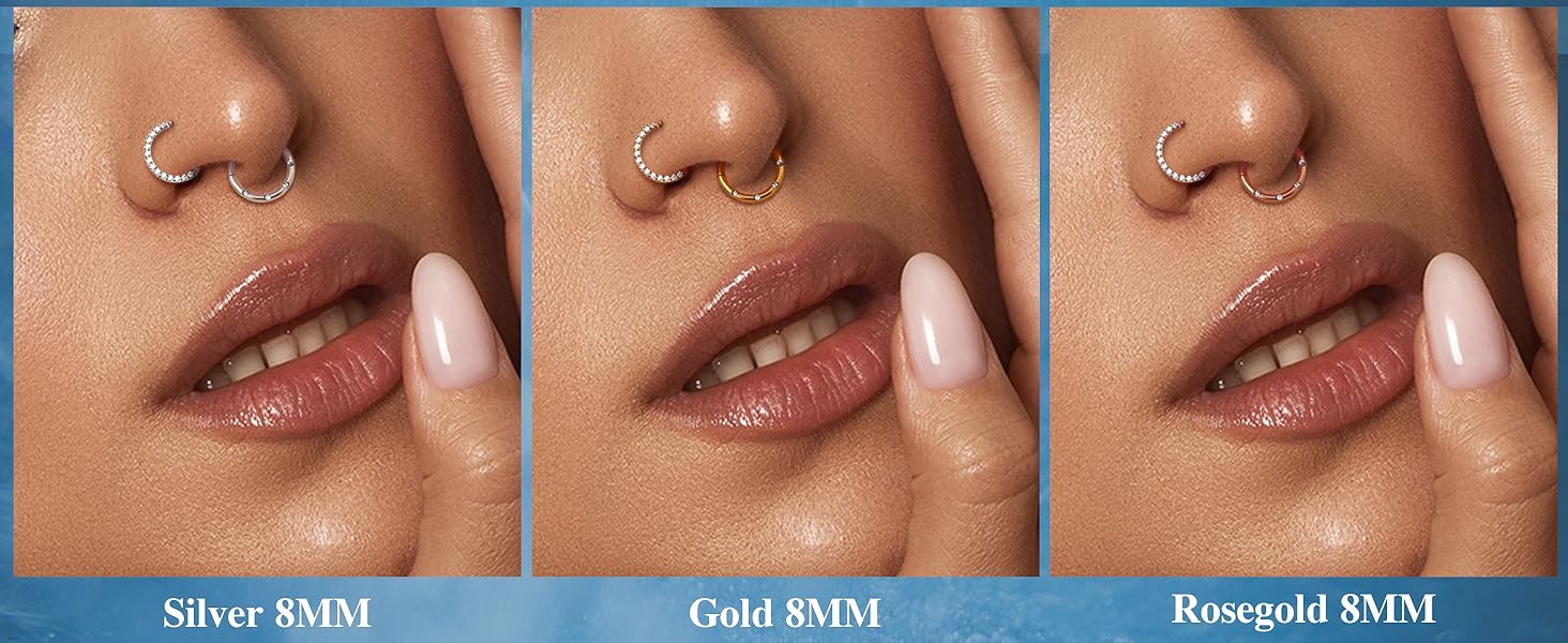 5 PCS 16G Nose Rings Hoops, Steel Earrings Tragus Septum Piercing CZ Clicker Septum Ring Hinged Segment Septum Conch Lip Helix Cartilage Hoops 8mm for Women Men
