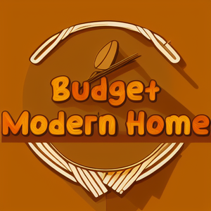 Budget Modern Home