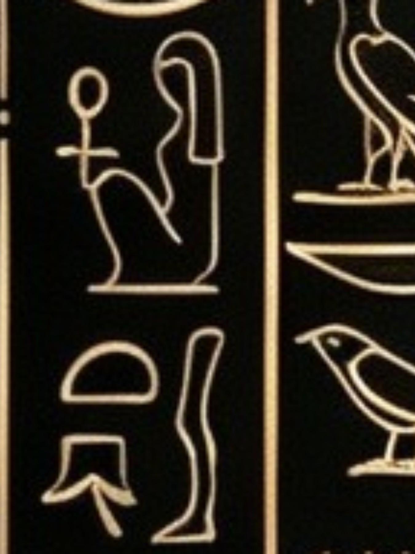 Ancient Egyptian Scarab Gold Round Neck Short Sleeve T-Shirt, Hieroglyph Full Print, Casual Loose Fit, Breathable Quick-Dry