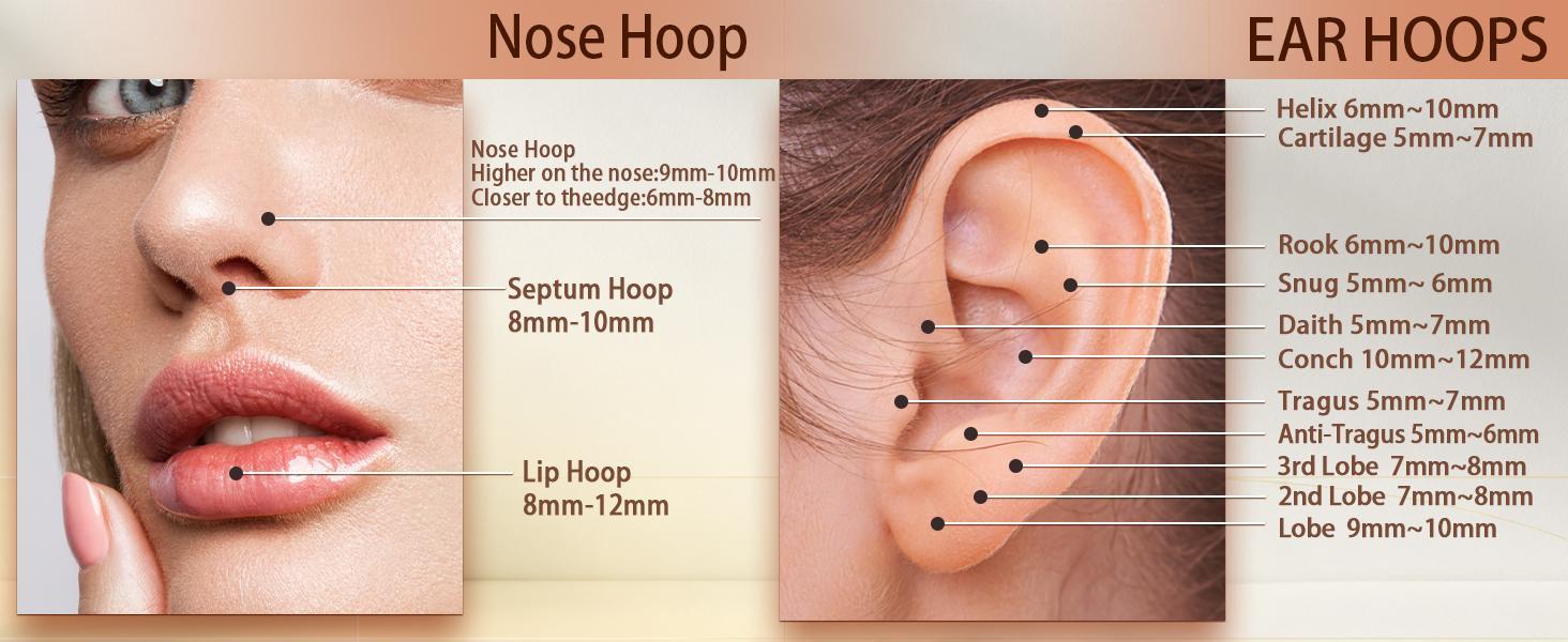 Unisex 2PCS G23 Titanium Metal Septum Rings 16G - Internally Threaded Horseshoe Design with Ball Grabber Tool, 6/8/10mm Hypoallergenic Cartilage Hoop for Piercings, Internally Threaded Piercing, Curved Ring, Unisex Wear, Internally Thrd.