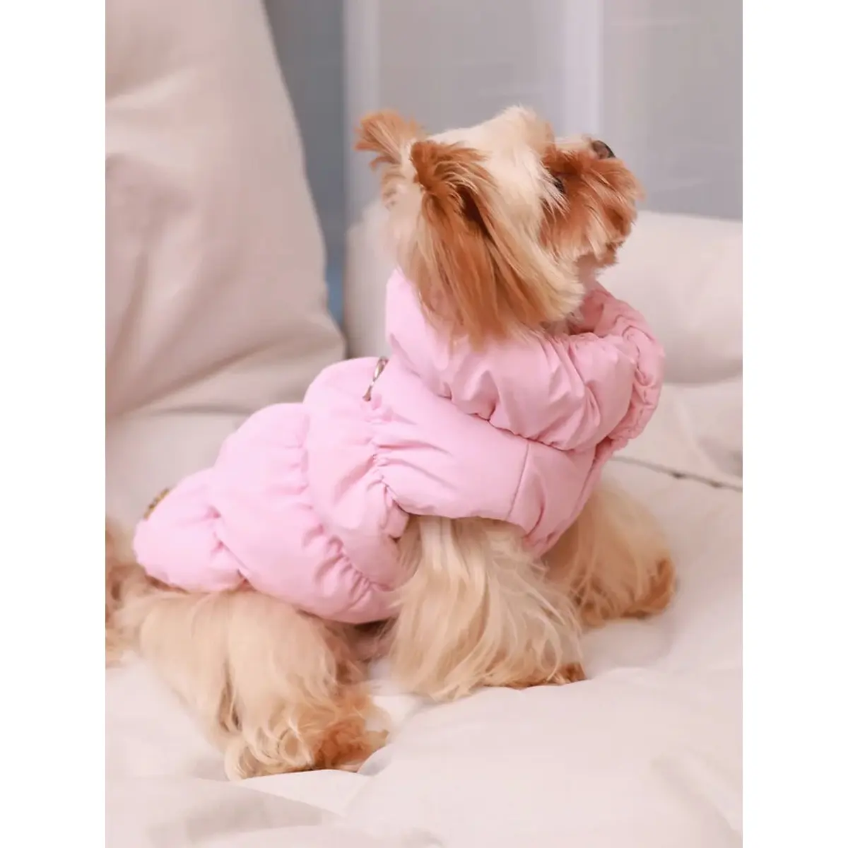 Dog Jacket for Autumn-Winter, 3-Layer Thick Warm Pet Outerwear, Small-Medium Dog Coat for Poodle, Teddy, York, Thick Layers