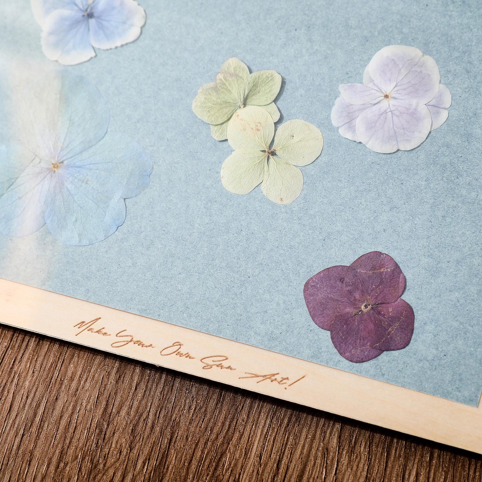 Blue Sun Paper Set 1pc, High-Quality Blue Sun Paper Material, Durable & Versatile Design, Perfect for Various Uses