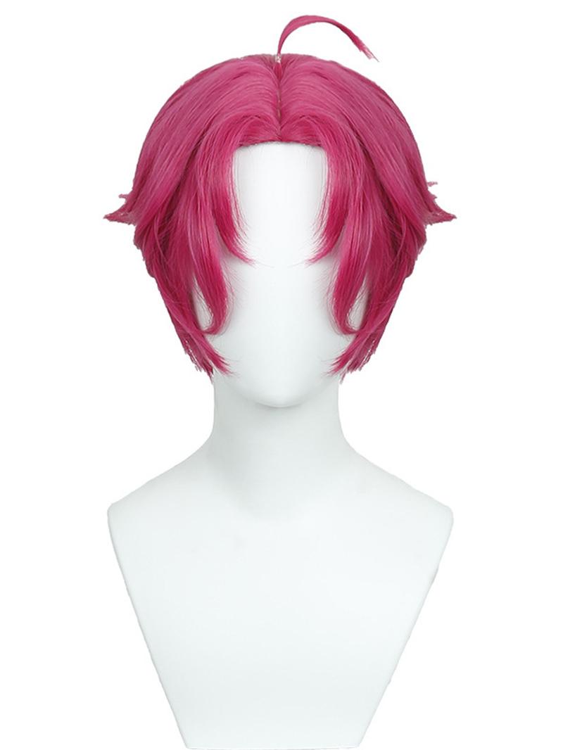 K-Pop Demon Hunter Inspired Cosplay Wig | Anime Style Long Hair Wig for Stage Performance, Dance Cover, Music Video Shoot, Halloween, Theme Party, Comic Event, Photoshoot | Heat Resistant Synthetic Hair