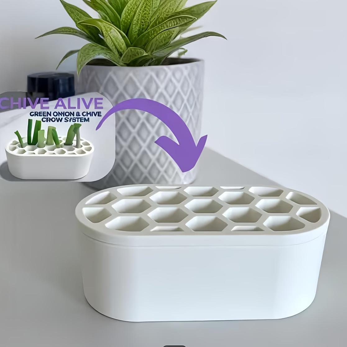 1 Set Green Onion Regeneration Kit - Hydroponic System Suitable for Balcony, Windowsill & Small Space, Quick Grow for Onions at Home, Compact Rapid Regeneration System for Urban Cultivation (No Skills Required)