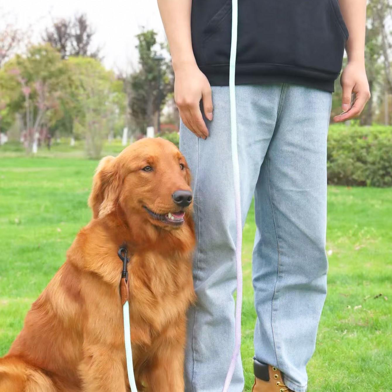 Adjustable Gradient Nylon Pet Leash, Multi-Functional Dog Training Rope, Ideal for Playing, Running, Camping, Backyard Exercise