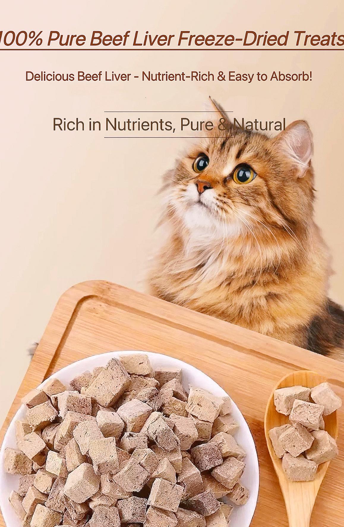 Pawfit Freeze-Dried Beef Liver Bites| 95% Nutrient Lock for Your Pet High-Protein Beef Liver Bites by Pawfit| All-Natural Freeze-Dried Pet Treats
