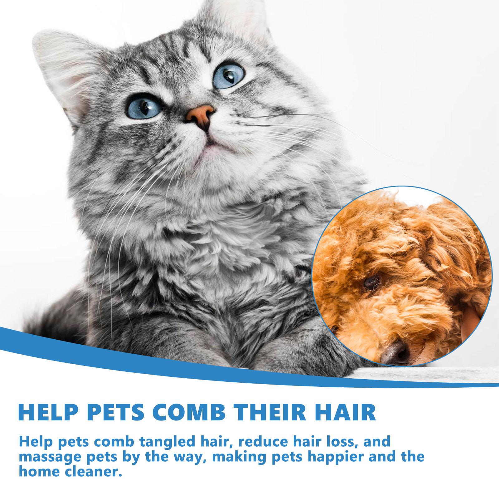 Yegbong Pet No-Rinse Essence Set - No-Rinse Grooming Essence for Cats and Dogs That Cleanses Fur, Fluffs, Smooths, and Provides Fragrant Care, Smoothness