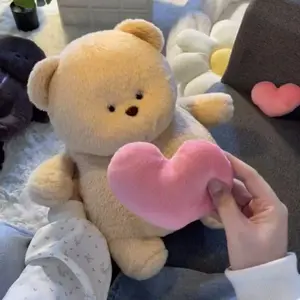Cute Recordable Voice Teddy Bear, Hidden Zipper Heart, Squeeze to Record Messages, Soft Plush Doll, Romantic Gift for Valentine, Anniversary, Kids