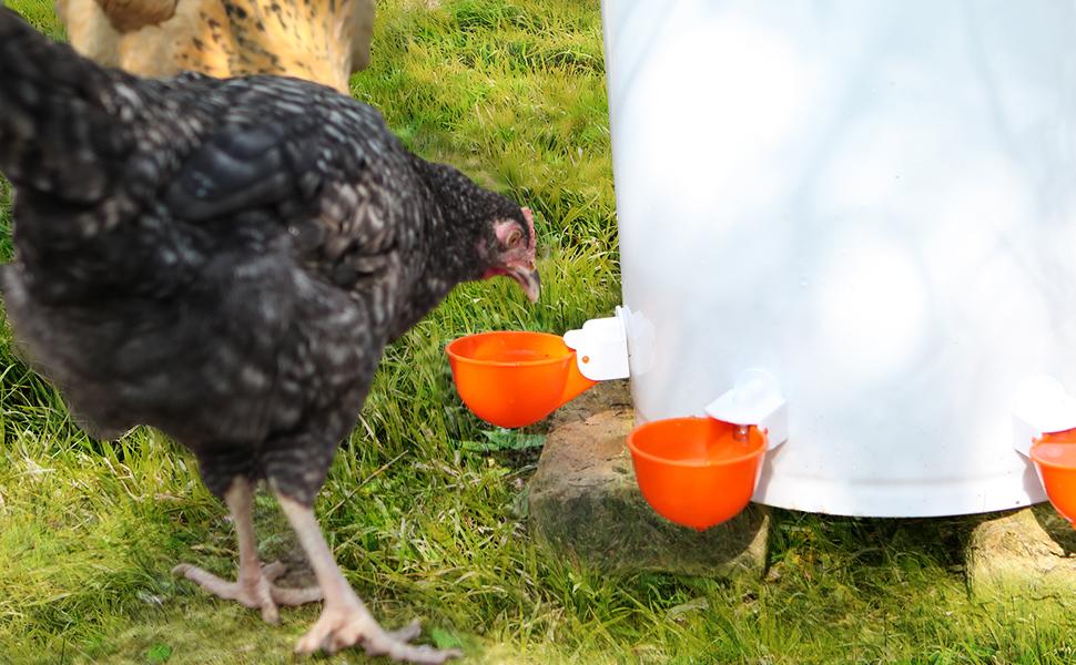 Automatic Chicken Duck Feeder Kit,No Waste Automatic Poultry Feeder Ports Kit & Waterer Set, Rainproof, No Waste,6 Feeding Ports, 6 Water Cups,A hole Saw and Drill Bit