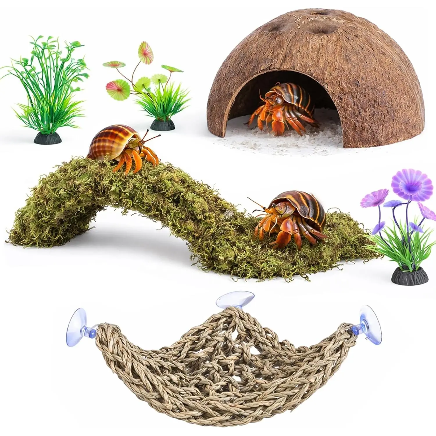Hermit Crab Accessories, 6Pcs Hermit Crab Toys Coconut Shell Hut Climbing Hammock Artificial Plants for Hermit Crabs