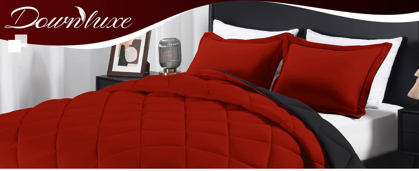 Downluxe 3 PCS Reversible Comforter Set Ultra Soft Multi-color Bedding Ultra-Soft Elegant Design Christmas Gifts Machine Washable Twin Queen King size Breathable Puffed Quilt