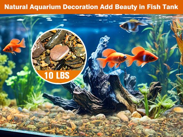 10 LBS Aquarium Gravel River Rock Stones, Natural Decorative Polished Mixed Colorfl Gravel,Outdoor Decorative Stones for Plant Aquariums, Landscaping, Vase Fillers