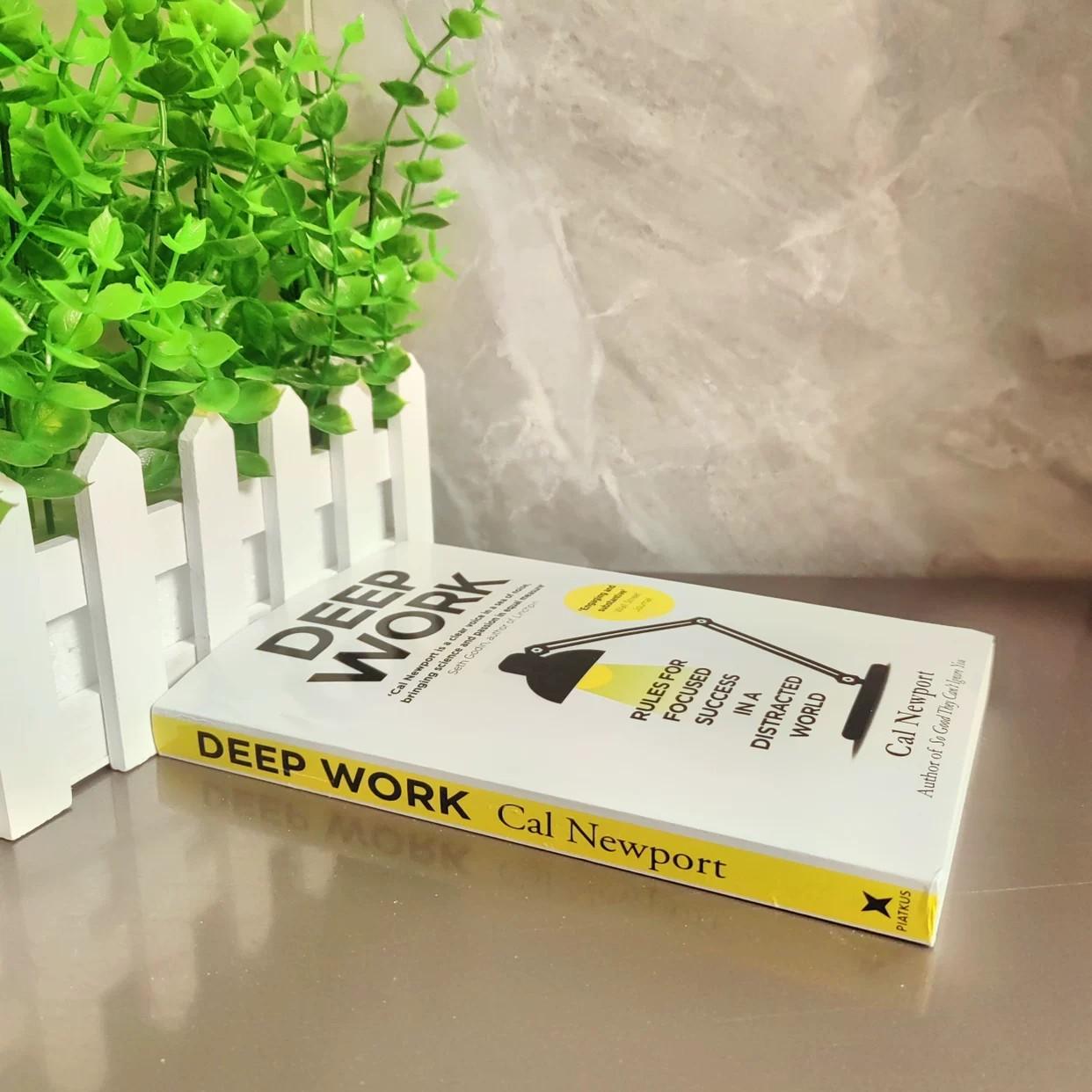 Depth Work Deep Work Rules for Focused Success, Genuine Book, Essential Guide for Enhanced Focus & Productivity, Must-Read Business Literature, Modern