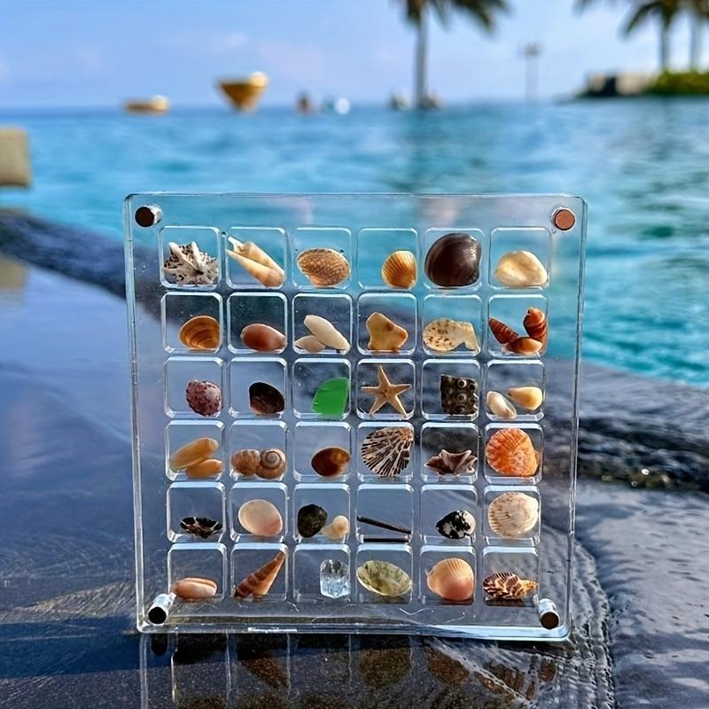 Square Acrylic Shell Storage Display Box, Transparent Specimen Showcase, 36-Grid Mini Shell Box, Magnetic Lid, High Transparency, Daily Collection