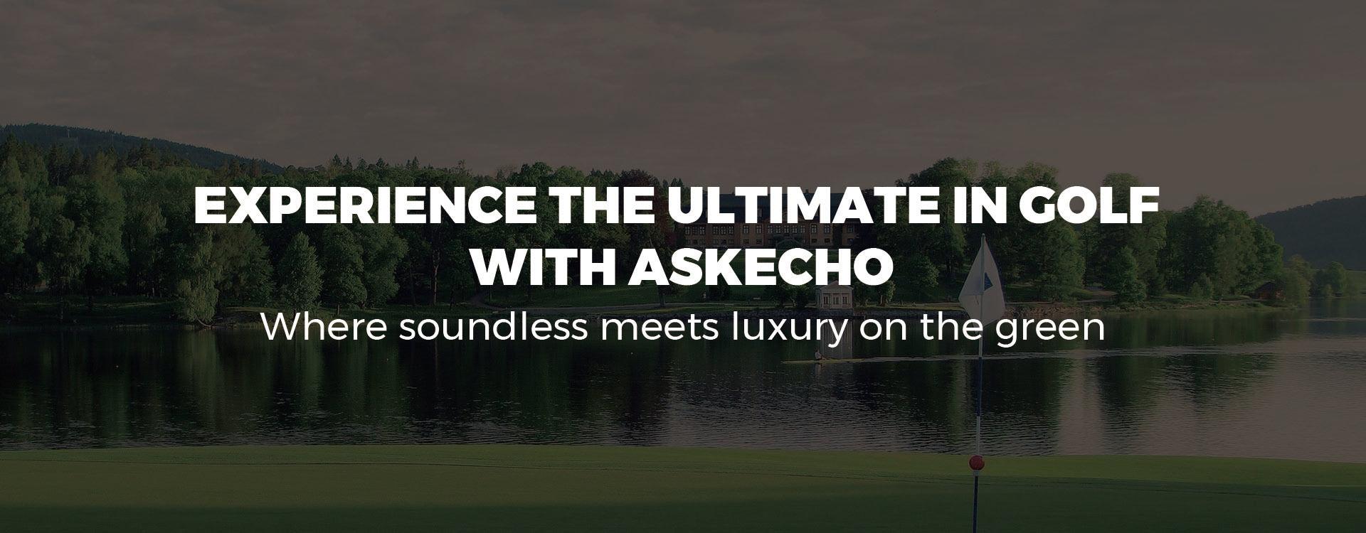 Ask Echo Golf Prestige-5 Way Compact Leather Leather Stand Bag