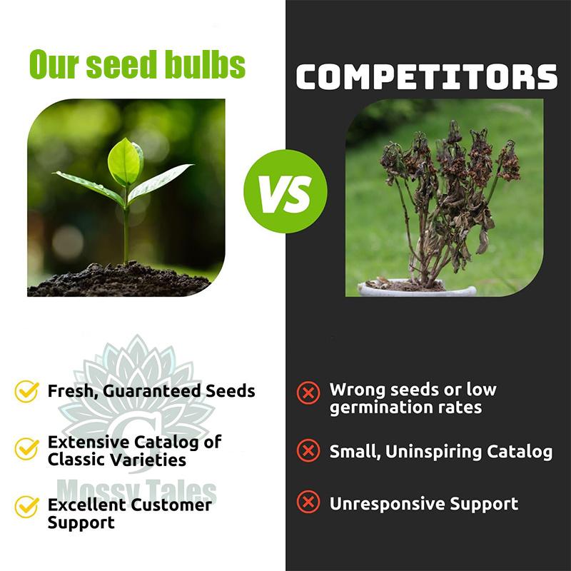 Easily grow tulip bulbs - no gardening experience required, perfect for DIY bouquets and home decor. Extremely cold resistant, perfect for landscaping balconies and patios.