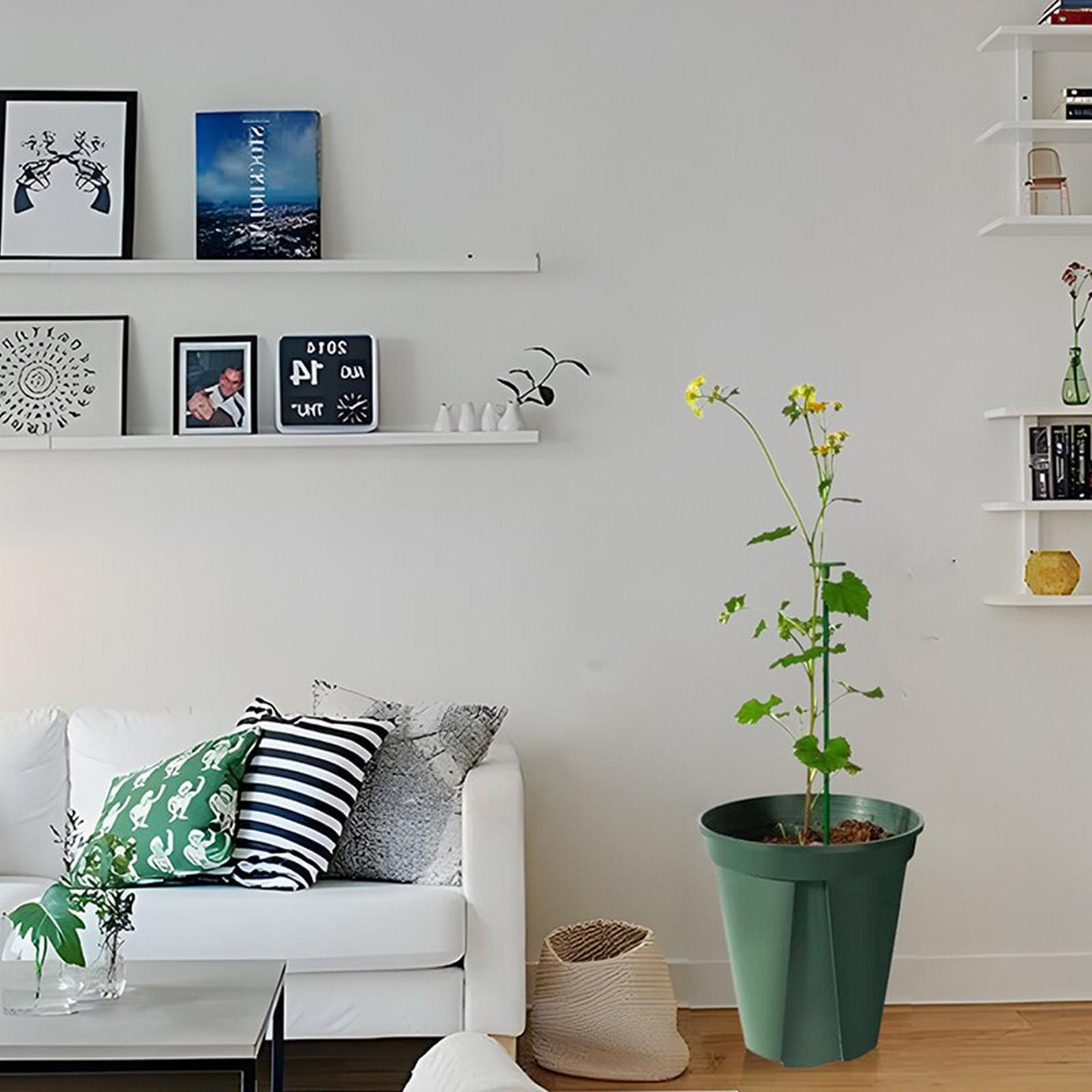 Garden Bonsai Orchid Stand, Butterfly Orchid Support Pole Plant Pot Flower Protector Rack Fixed 5pcs, Garden Gardening Supplies